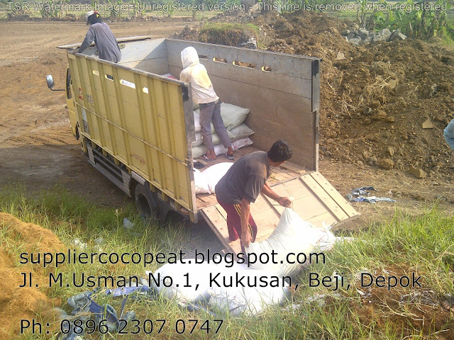 supplier cocopeat