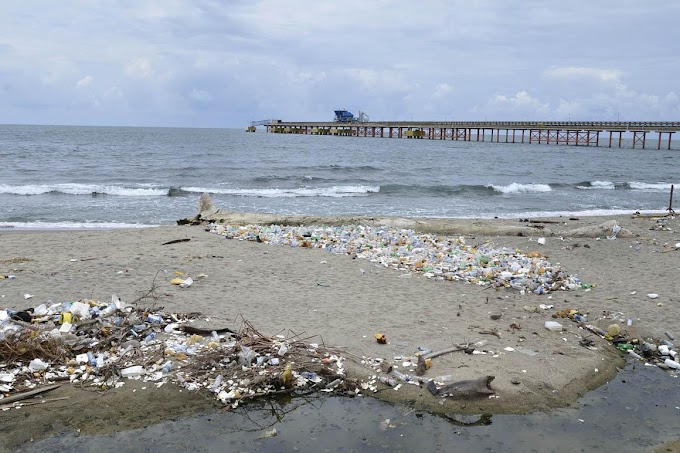 Oficina Senatorial San Cristóbal tiene este viernes jornada limpieza en playa Gringo, Haina