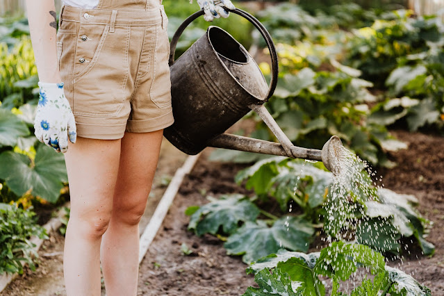 Eco-friendly Gardening Tips for a Sustainable Way of Living