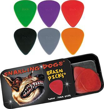 Brain Guitar Picks3