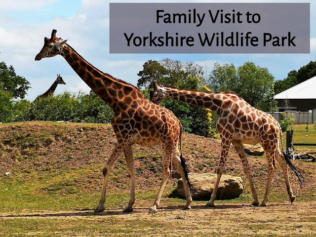 Yorkshire wildlife park header