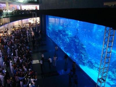 Dubai Aquarium (2) 2