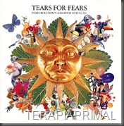 tears_for_fears_tears_roll_down_greatest_hits_82_92-510939-1-1294182122