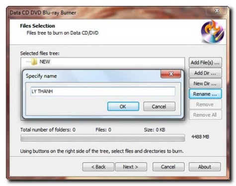 8cddvdburn2