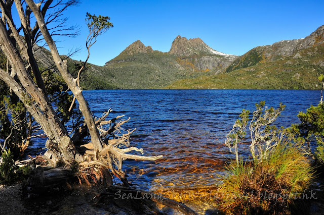 搖籃山, Cradle Mountain