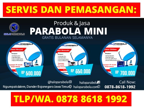 Parabola Mini Tanaka Singgahan Tuban