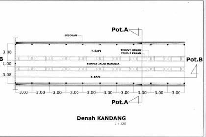 Jenis Jenis Kandang Ternak Sapi Perah