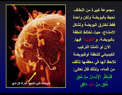 رحله مذهله مع خلق الانسان