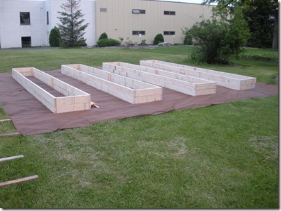 gardenbox 005