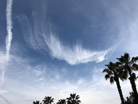 Yep, when you can't see any stars keep watching clouds in the sky (Source: Palmia Observatory)