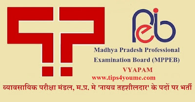 #169 Naib Tehsildar Posts | Apply Online