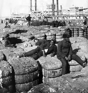 White and black dock workers resting on cotton bales in the port of New Orleans in 1902.