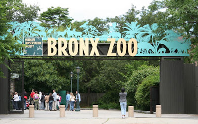 Bronx Zoo new york | review-hours-admission-hotels.