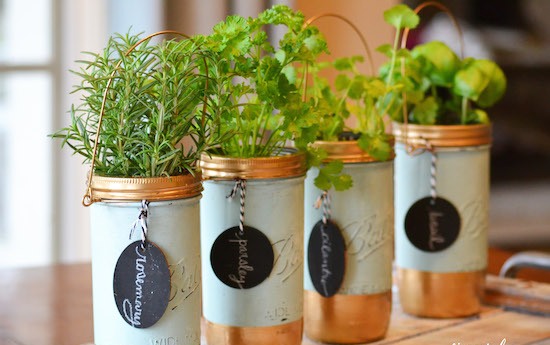 mason jar herb centerpieces