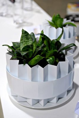 vasos que crescem junto com as plantas