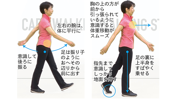 ウォーキングの正しい歩き方