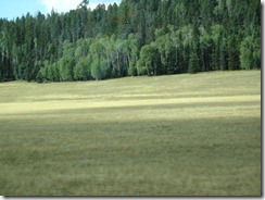 IMG_0185
