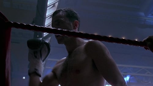 The Boxer 1997 en vk