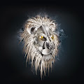Lion Face 3D Digital Art Wallpaper