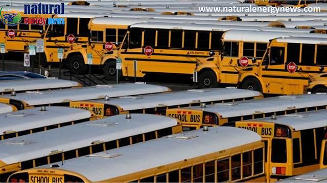 Yellow School Buses Drive towards Green Future with $1 Billion Investment