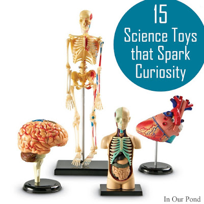 Toys that Spark Curiosity- a gift guide from In Our Pond  #science #christmas #holidays #birthday #kids #toys