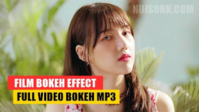 Film Bokeh Effect Full Video Bokeh Mp3