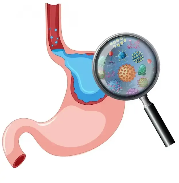 Optimizing Gut Microbiome for Advanced Processing and Resistant Structural Health