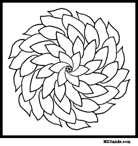 Fleurs Flowers Coloring Pages Flower Coloring : Free Printable Coloring 