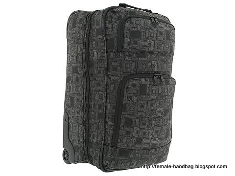 Female-handbag:handbag-1219102