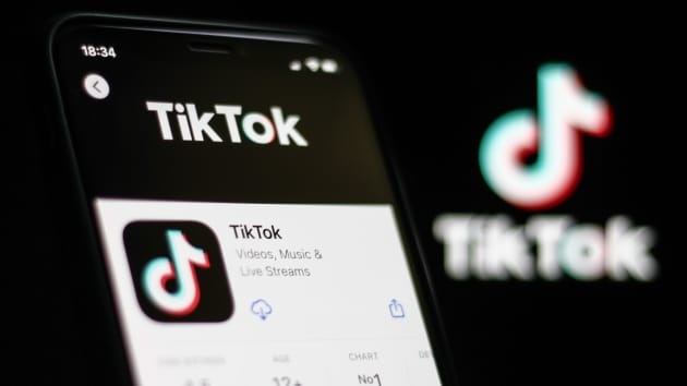 aplicativo tiktok no celular