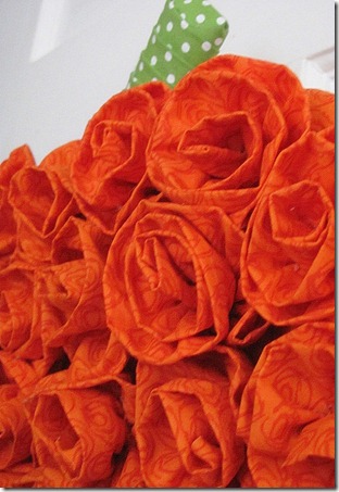 Rosy Pumpkin