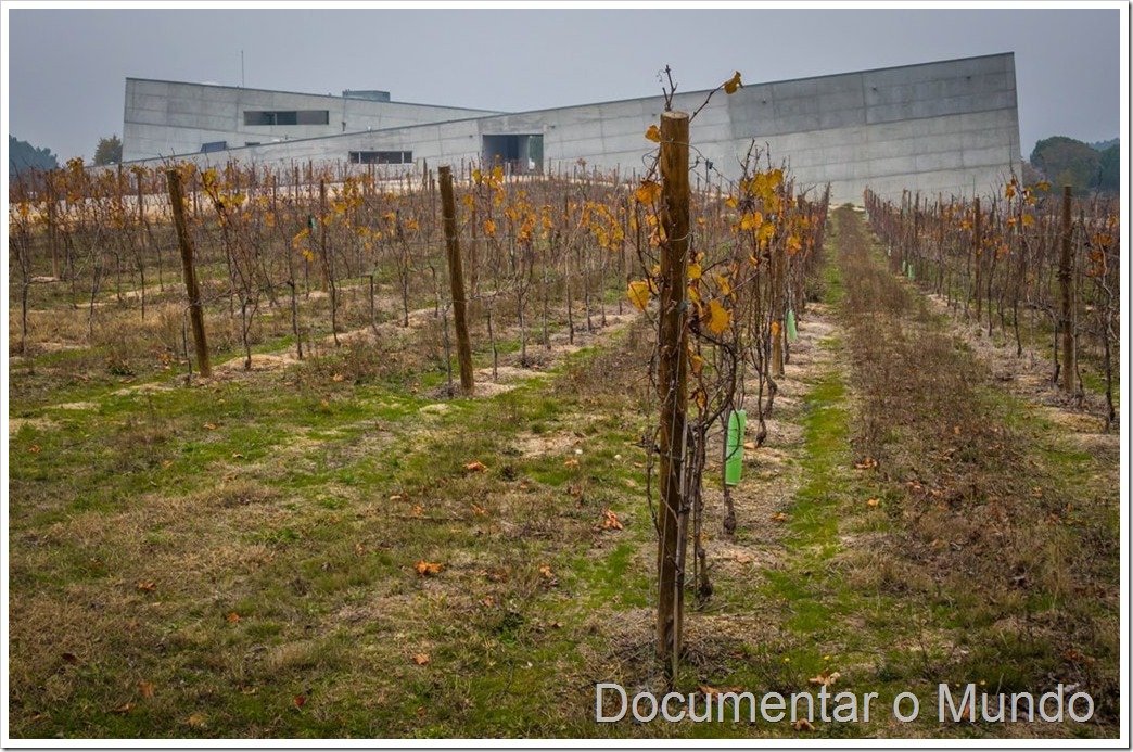 Adega Caminhos  Cruzados, vinhos Caminhos Cruzados, adegas Dão, adegas Nelas, novas adegas portuguesas, novo Dão