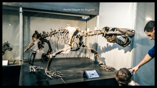 musée dinosaure esperaza