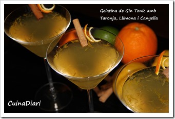 7-gin tonic jelly-ppal 7-gin tonic jelly-ppal