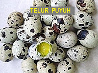 TELUR PUYOH - APA HEBATNYA