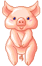Porquinho (35)
