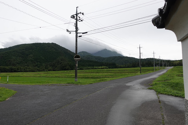 種原集落