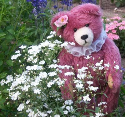 Look at Teddy enjoying the spring flowers in the garden