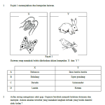 Contoh Soalan Dan Jawapan Upsr