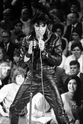 Elvis-the-king