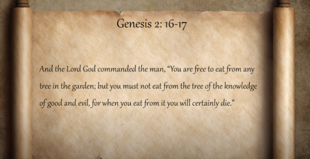 Bible Genesis 2:16-17