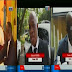 JT RTVS1 : Gabriel Mokia réaffirme son soutien au premier Ministre Samy Badinga . La CENCO avoue son échec dans sa mission . (vidéo )