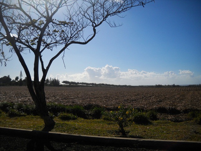 DSCN6601