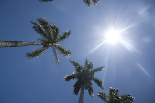 Foto de día soleado en el área metropolitana de Miami