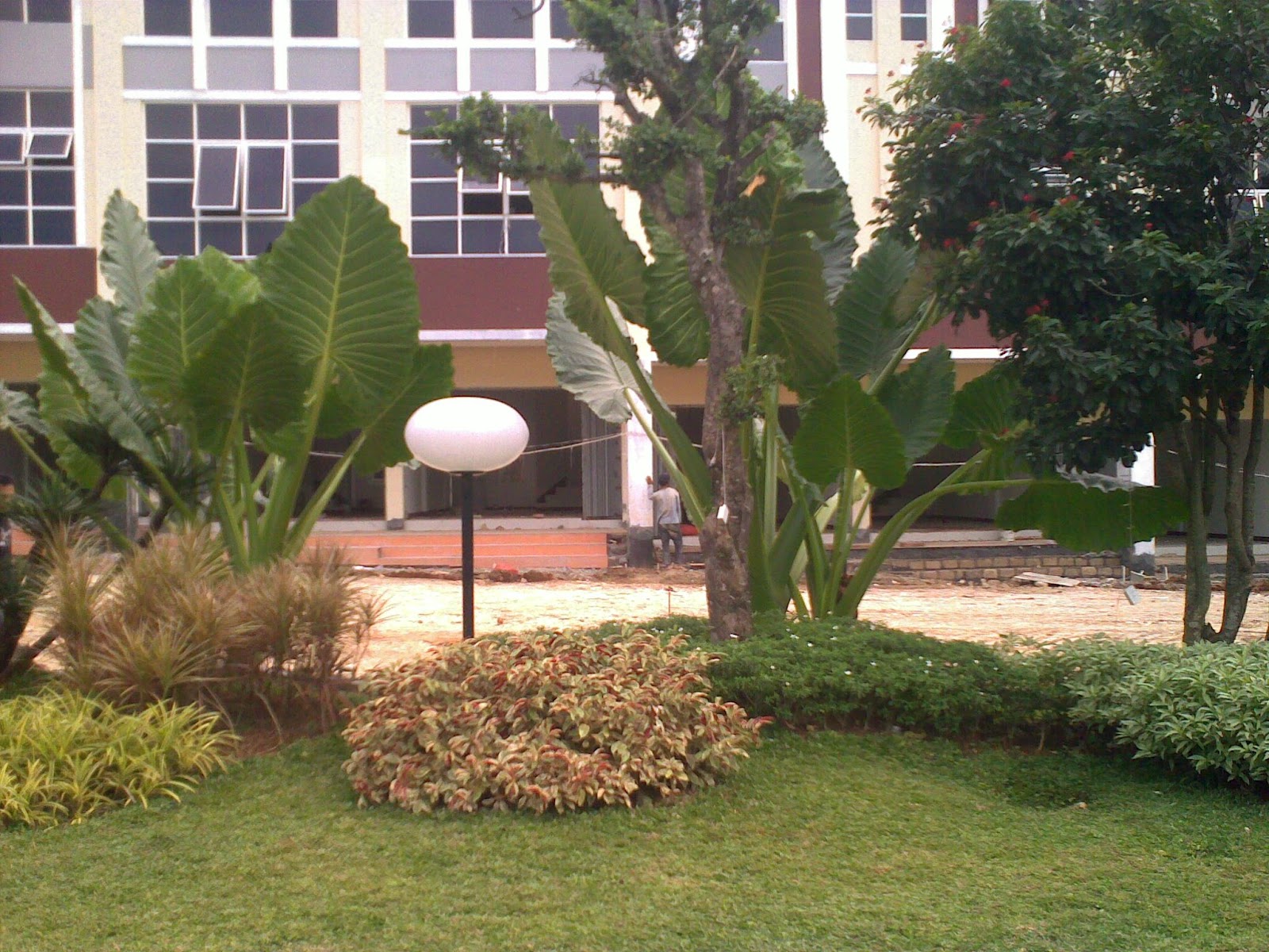 TUKANG TAMAN "CIBINONG | PEMDA BOGOR"