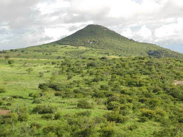 O SERROTE DO VENTO, O ARCO-ÍRIS E AS RIQUEZAS DA FAUNA E DA FLORA DO MORRO DA SERRA GRANDE