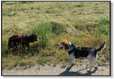 Emma und Lotte