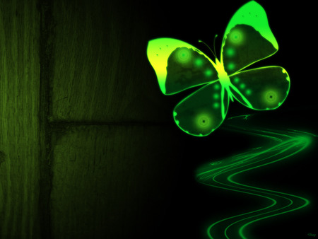 Butterfly Wallpaper on Green Butterfly Wallpaper
