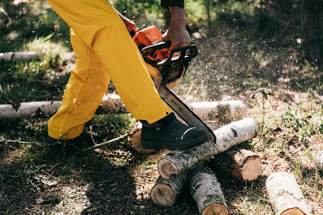 The Honest Woodcutter | A Lesson in Integrity