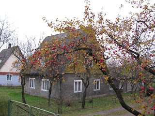 Võru